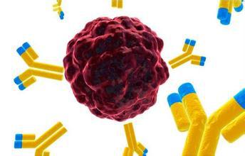 Biosynex腫瘤標(biāo)記物快速檢測試劑盒(膠體金法)